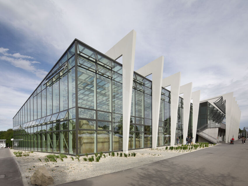 Les Zones Climatiques de Danakil