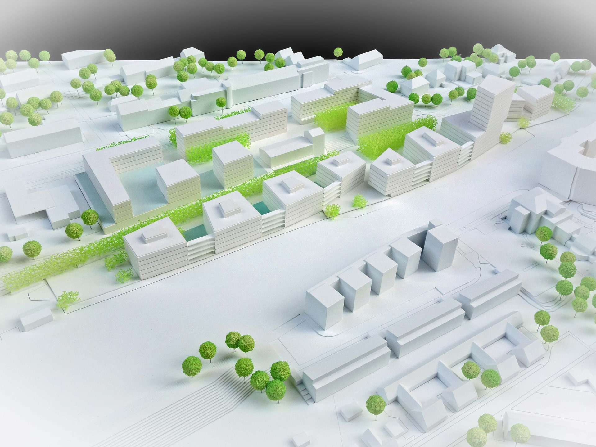Development Area 