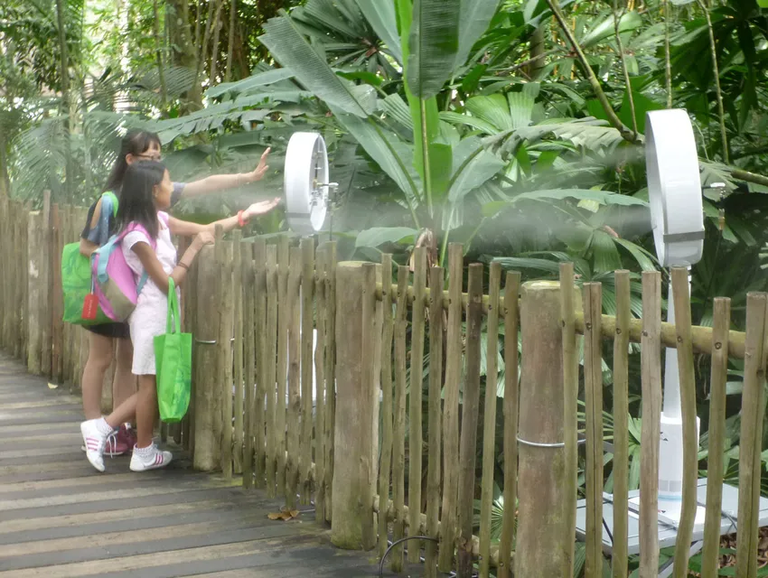 Zoo Mandai: Confort en plein air grâce avec 
