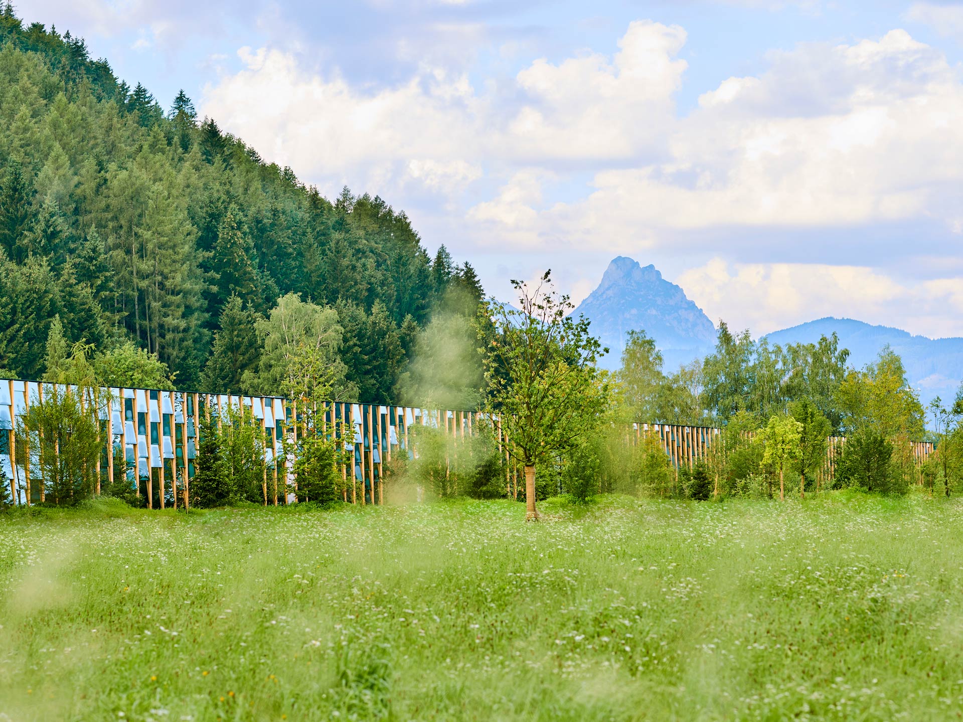 Grüne Erde World – Visitor Center + Production