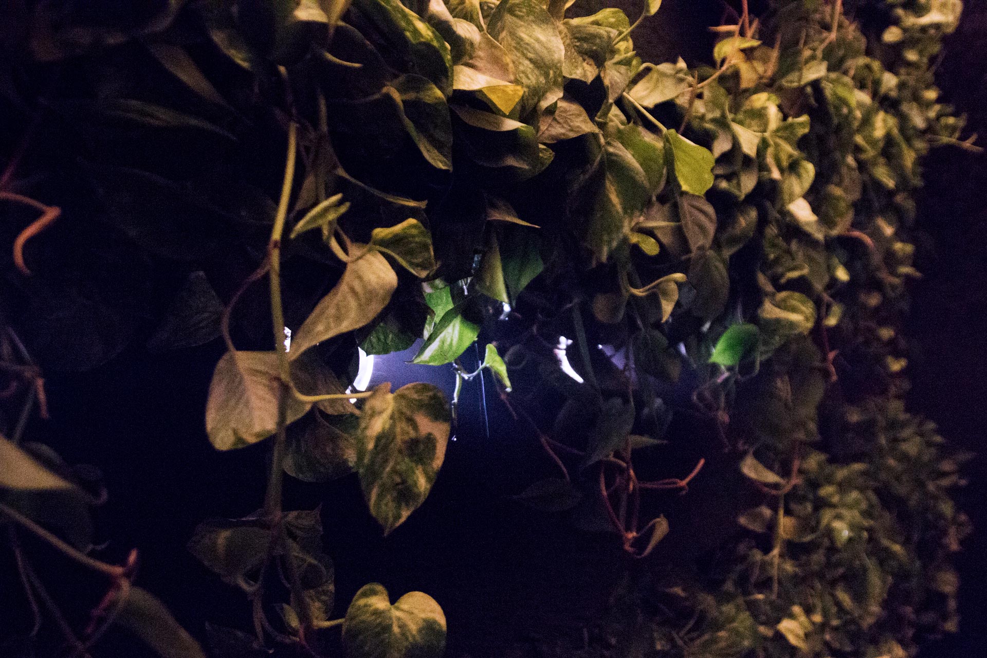 Reversío auf der EDIT Toronto 2017