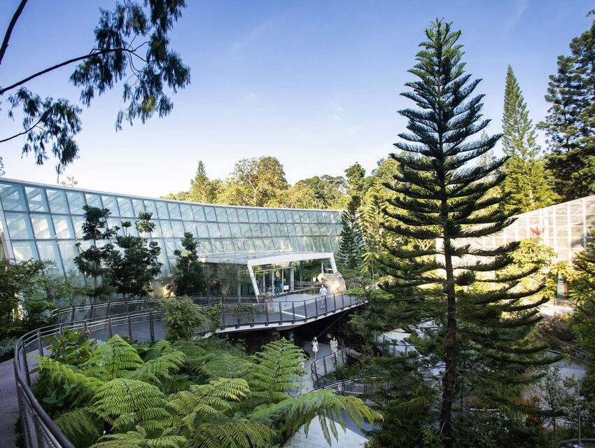 Kühles Gewächshaus im National Orchid Garden