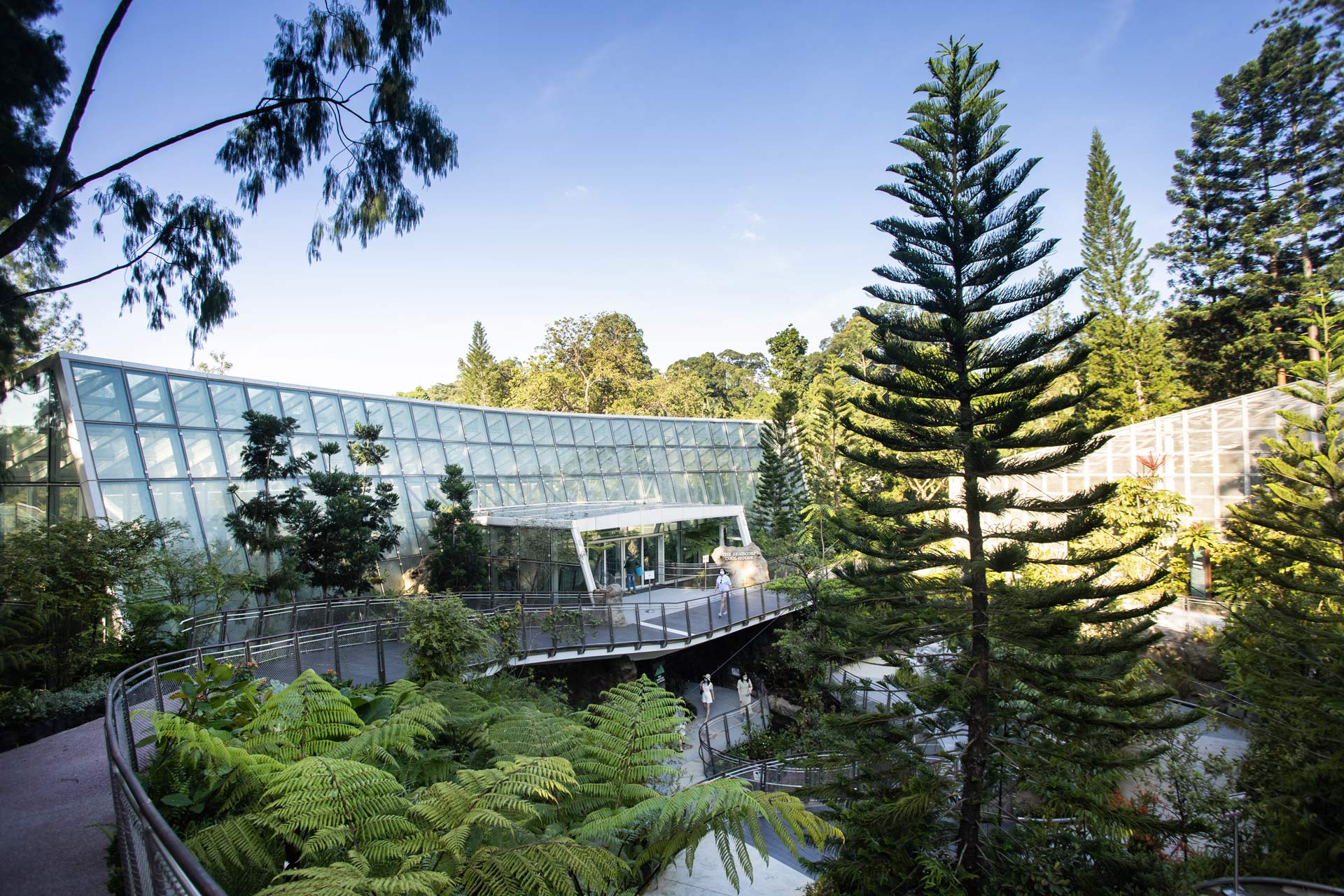 Kühles Gewächshaus im National Orchid Garden