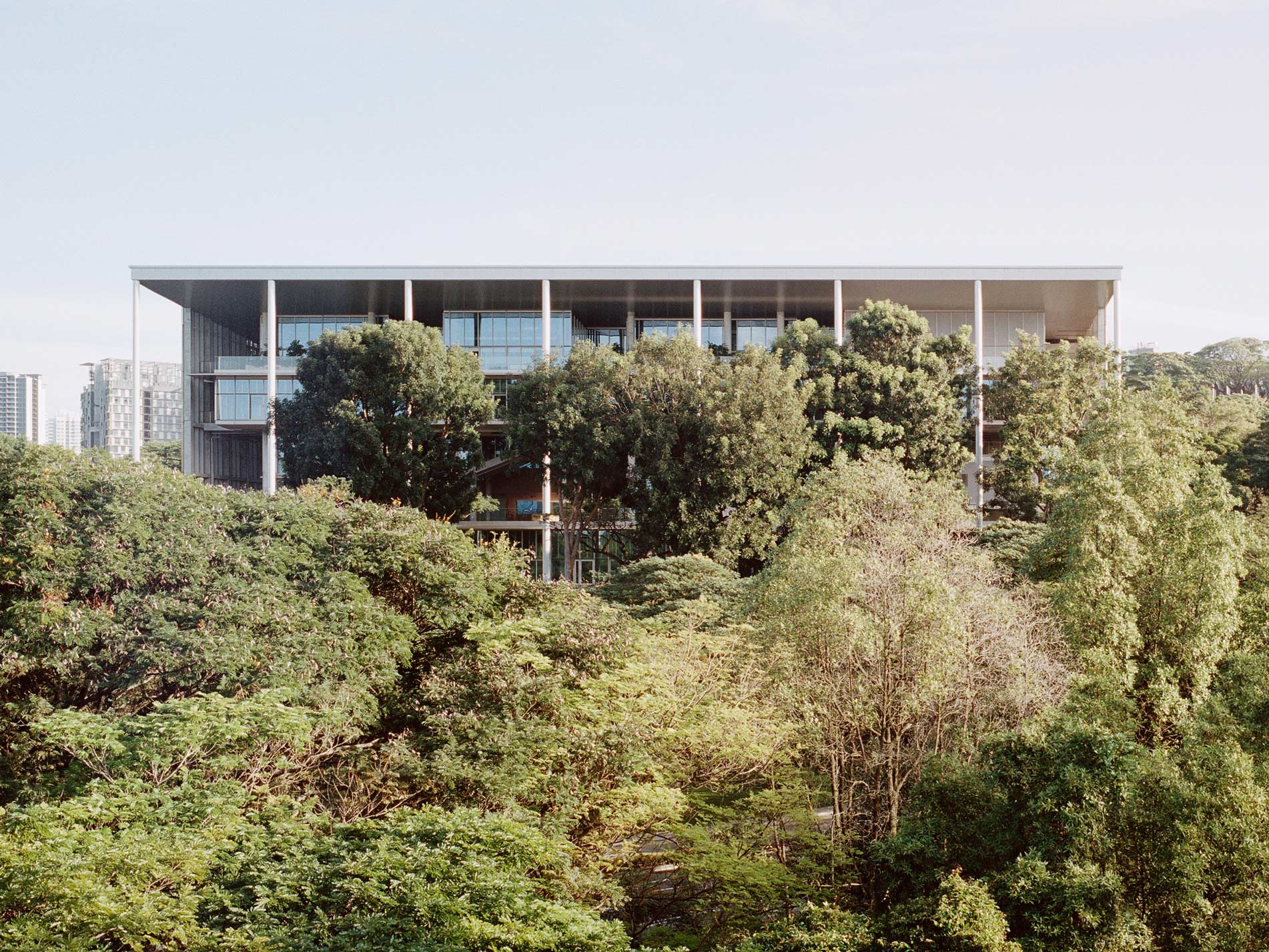 Klimapositiv: NUS School of Design and Environment