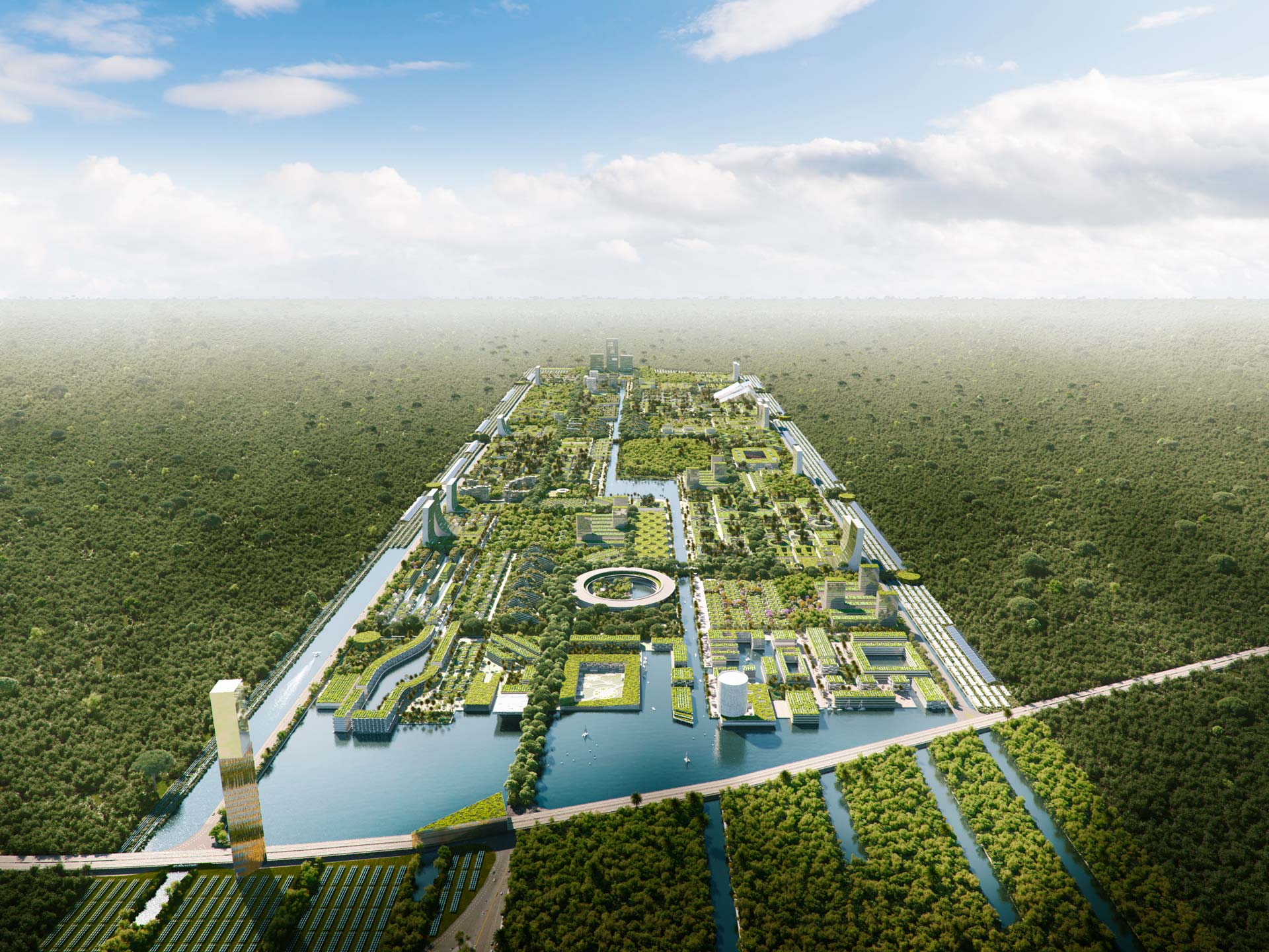 Smart Forest City
