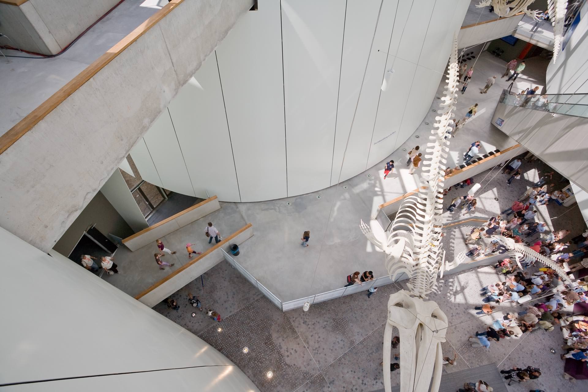 OZEANEUM