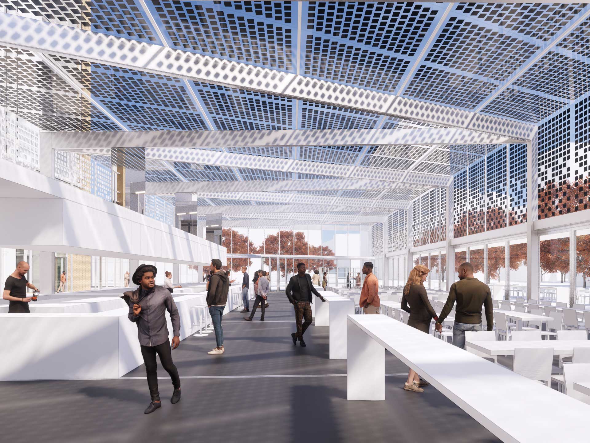 Sustainability Study Market Lands