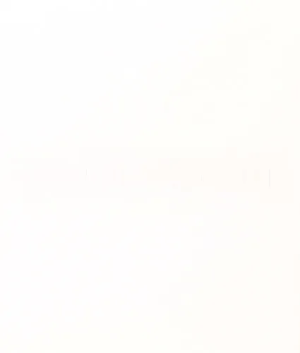 Connect Ideas &mdash;&nbsp;Maximize Impact